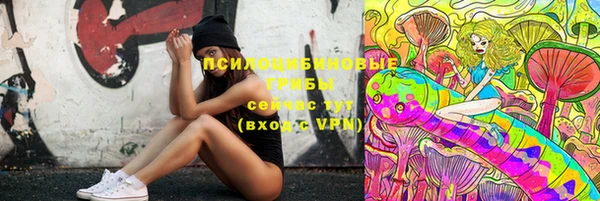 шишки Волоколамск