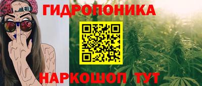 крисы Канаш