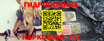 крисы Канаш