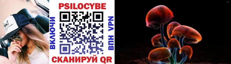 Галлюциногенные грибы Cubensis  Мариинск 