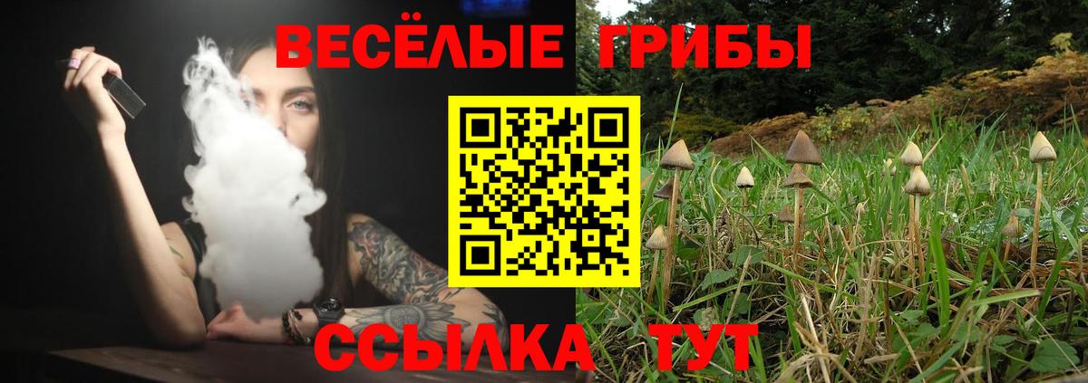 Галлюциногенные грибы мухоморы  Вход с VPN  что такое наркотик  Мариинск 