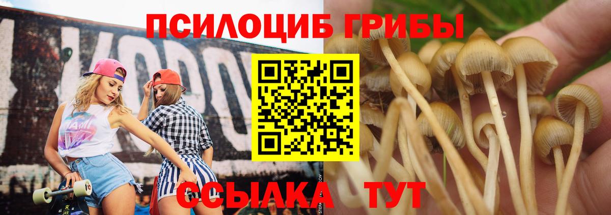 Псилоцибиновые грибы мицелий Мариинск